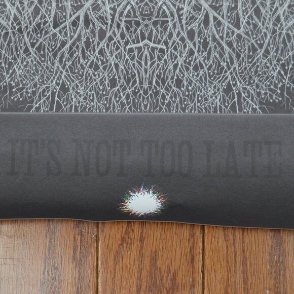 RADIOHEAD "It's Not Too Late" LIMITED EDITION NUMBERED POSTER 6045 / 7500 READ - Picture 6 of 16